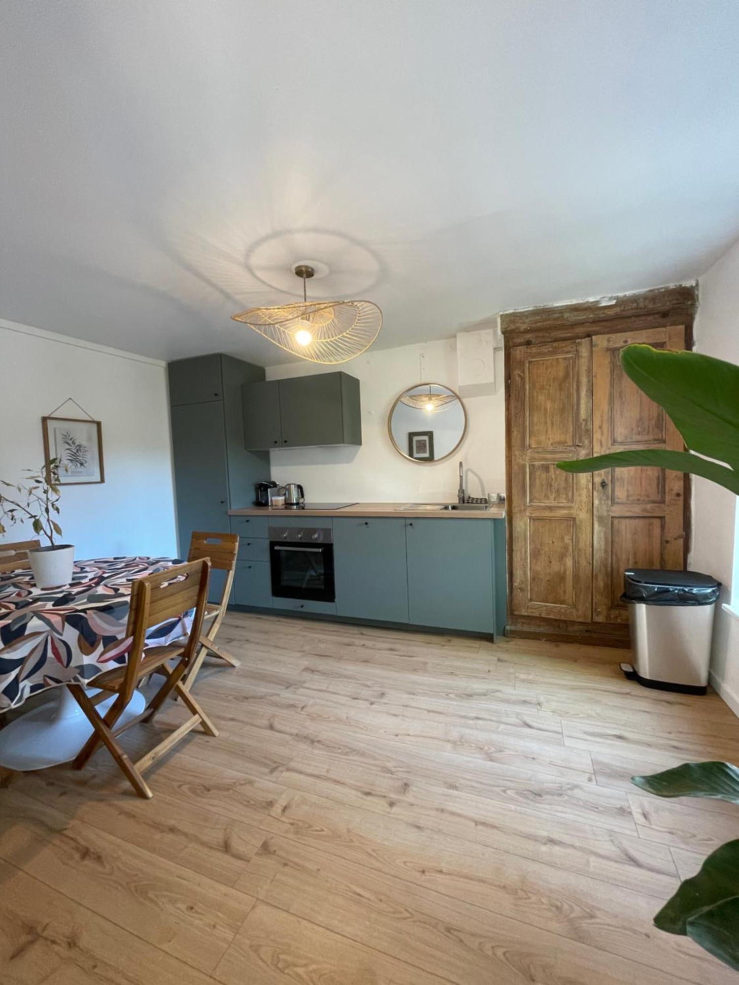 Maison A Avec Jardin Privatif Dans Domaine Des Crozes Vienne  Zewnętrze zdjęcie