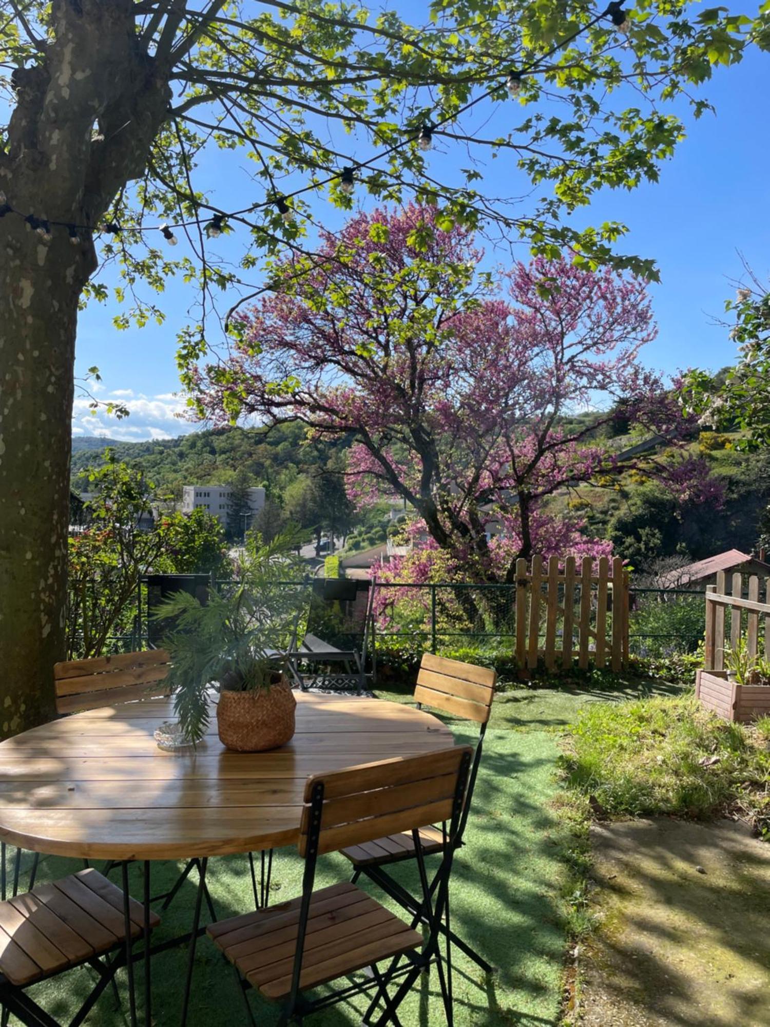 Maison A Avec Jardin Privatif Dans Domaine Des Crozes Vienne  Zewnętrze zdjęcie
